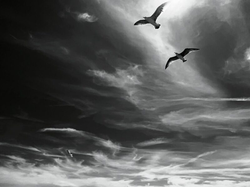grayscale photo of birds flying under cloudy sky