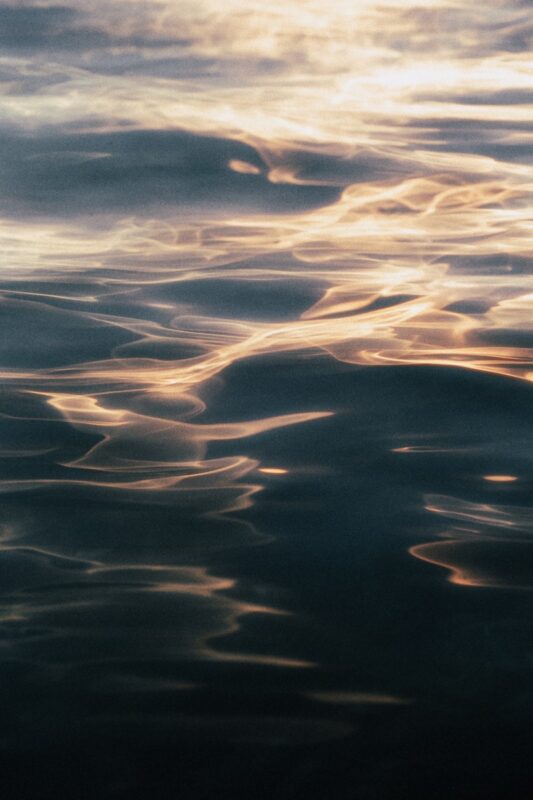 A bird flying over a body of water under a cloudy sky